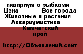 аквариум с рыбками › Цена ­ 1 000 - Все города Животные и растения » Аквариумистика   . Камчатский край